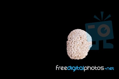 Dead Coral Flower Shape Isolated On Black Stock Photo