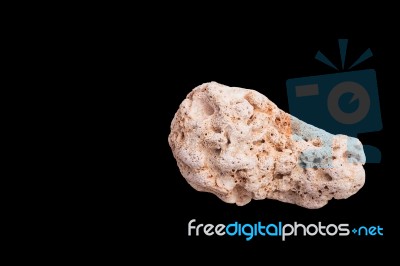 Dead Coral Isolated On Black Background Stock Photo