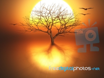 Dead Tree Stock Image