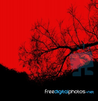 Dead Tree Background Stock Image