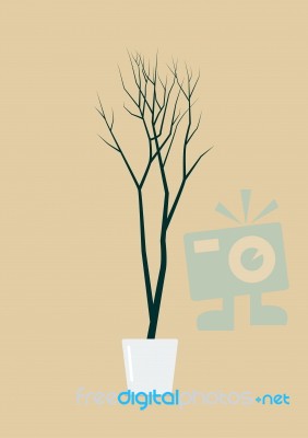 Dead Tree In Pot Stock Image