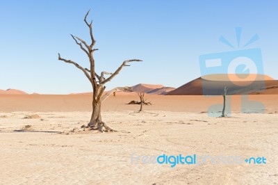 Dead Vlei Near Sesriem In Namibia Stock Photo