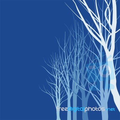 deciduous Trees Stock Image