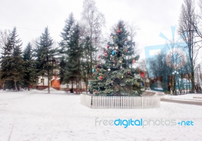 Decorated Christmas Tree In The Town Square Stock Photo