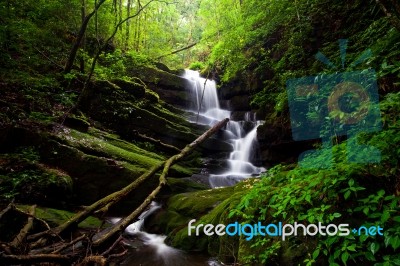 Deep Forest Waterfall Stock Photo