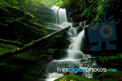 Deep Forest Waterfall Stock Photo