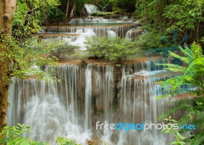 Deep Forest Waterfall Stock Photo