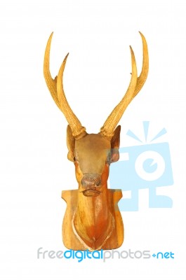 Deer Head Stock Photo