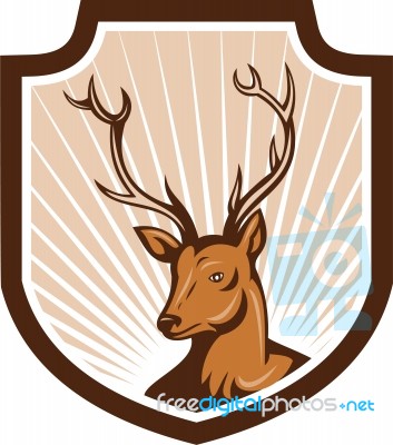 Deer Stag Buck Antler Head Shield Stock Image