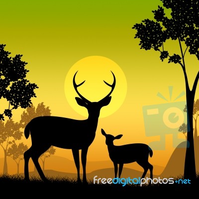 Deer Wildlife Indicates Safari Animals And Evening Stock Image