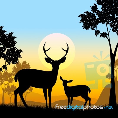 Deer Wildlife Indicates Safari Animals And Evening Stock Image