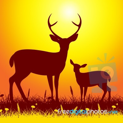 Deer Wildlife Shows Nature Reserve And Animal Stock Image