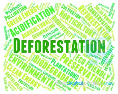 Deforestation Word Means Cut Down And Clear Stock Image