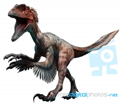 Deinonychus Stock Image