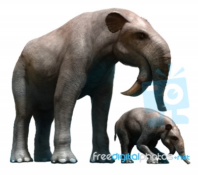 Deinotherium And Calf Stock Image