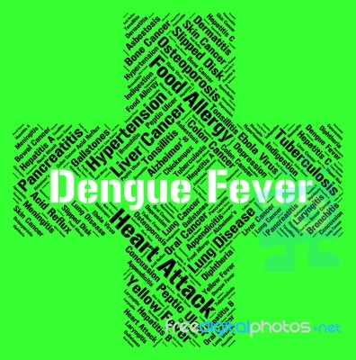 Dengue Fever Shows High Temperature And Attack Stock Image