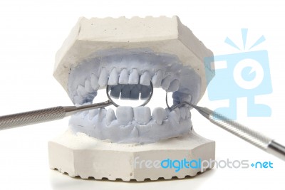 Dental Examining Stock Photo