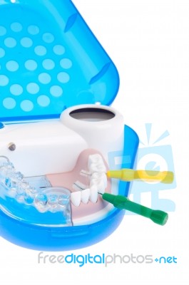 Dental Model Stock Photo