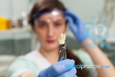 Dental Tools Stock Photo