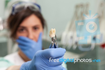 Dental Tools Stock Photo