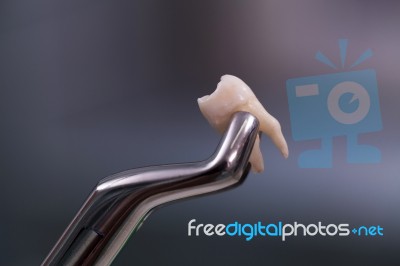 Dental Tools Stock Photo