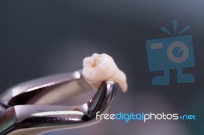 Dental Tools Stock Photo