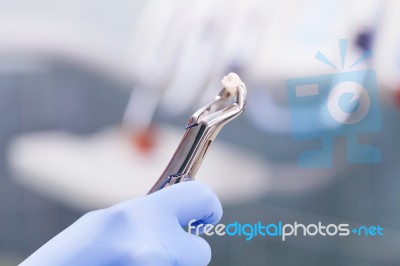 Dental Tools Stock Photo