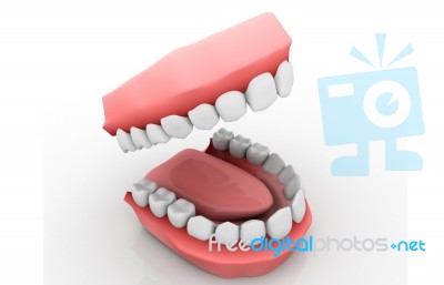 Denture Stock Image