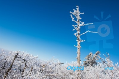 Deogyusan Mountains In Winter, Korea Stock Photo