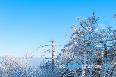 Deogyusan Mountains In Winter, Korea Stock Photo