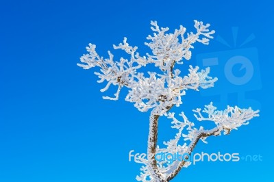 Deogyusan Mountains In Winter, Korea Stock Photo