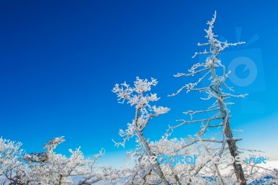 Deogyusan Mountains In Winter, Korea Stock Photo