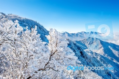 Deogyusan Mountains In Winter, Korea Stock Photo