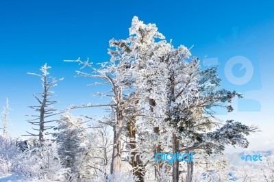 Deogyusan Mountains In Winter, Korea Stock Photo