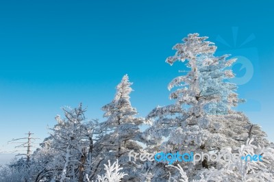 Deogyusan Mountains In Winter, Korea Stock Photo