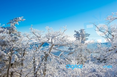 Deogyusan Mountains In Winter, Korea Stock Photo