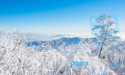 Deogyusan Mountains In Winter, Korea Stock Photo