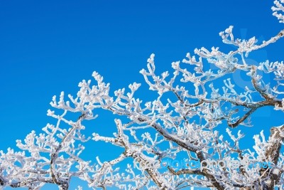 Deogyusan Mountains In Winter, Korea Stock Photo