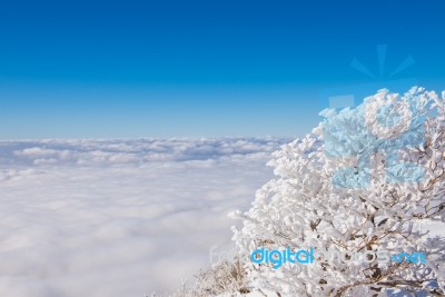 Deogyusan Mountains In Winter, Korea Stock Photo