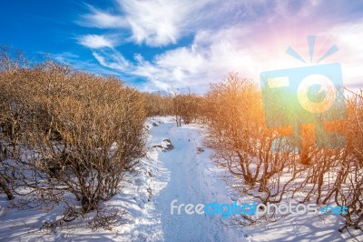 Deogyusan Mountains In Winter, South Korea Stock Photo