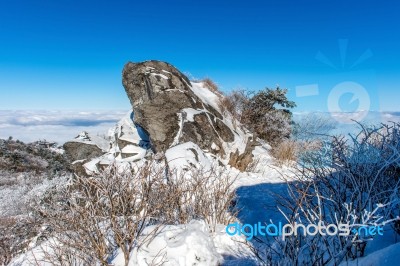 Deogyusan Mountains Is Covered By Morning Fog In Winter, Korea Stock Photo