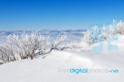 Deogyusan Mountains Is Covered By Snow And Morning Fog In Winter,south Korea Stock Photo