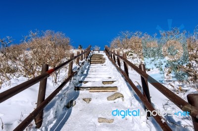 Deogyusan Mountains Is Covered By Snow In Winter,south Korea Stock Photo