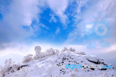 Deogyusan Mountains Is Covered By Snow In Winter,south Korea Stock Photo