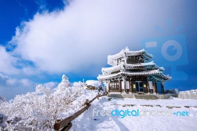 Deogyusan Mountains Is Covered By Snow In Winter,south Korea Stock Photo