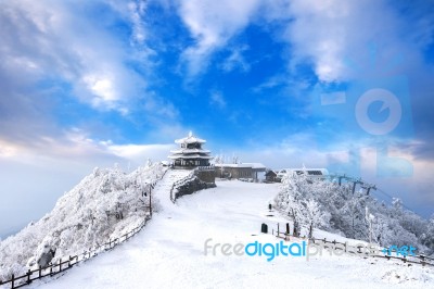 Deogyusan Mountains Is Covered By Snow In Winter,south Korea Stock Photo