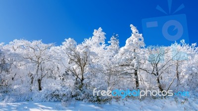 Deogyusan Mountains Is Covered By Snow In Winter,south Korea Stock Photo