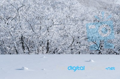 Deogyusan Mountains Is Covered By Snow In Winter,south Korea Stock Photo