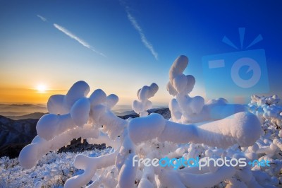 Deogyusan Mountains Is Covered By Snow In Winter,south Korea Stock Photo