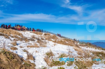 Deogyusan,korea - January 1: Tourists Taking Photos Of The Beautiful Scenery And Skiing Around Deogyusan,south Korea On January 1, 2016 Stock Photo